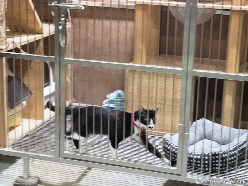 【塭底烤魚】老饕必訪海鮮熱炒名店，鹽烤台灣鯛尚出名 (含菜單) @紫色微笑 Ben Jean 饗樂生活