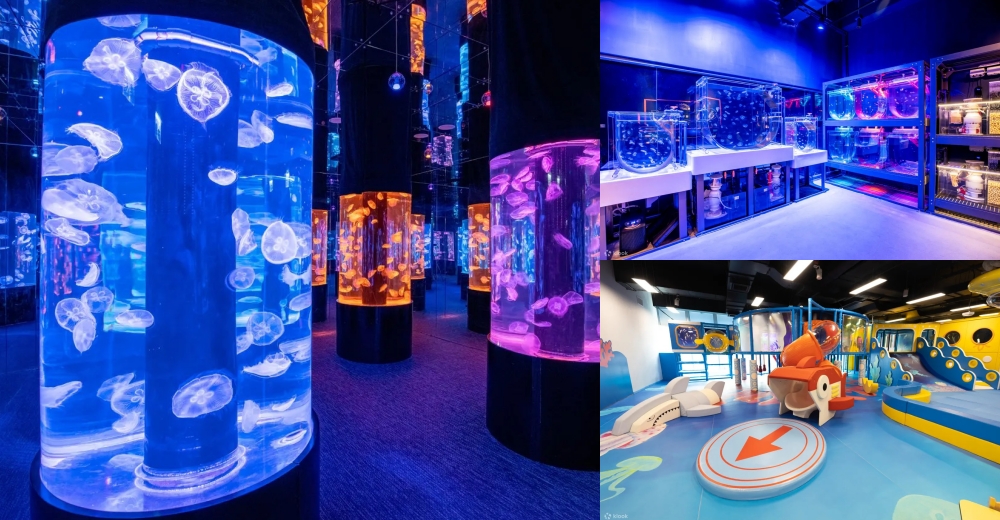 【香港自由行五天四夜】2025香港行程30大景點美食住宿推薦！附港鐵景點美食地圖 @紫色微笑 Ben Jean 饗樂生活