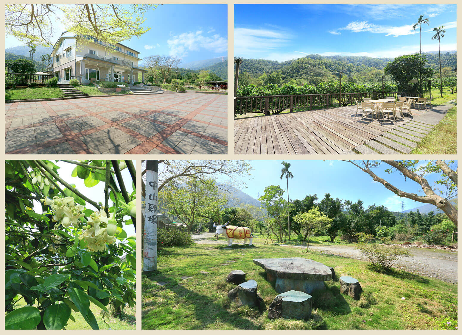 【中山雞場】仁山苗圃下的土雞城,價格實惠CP值高、特色合菜、菜單停車全攻略 @紫色微笑 Ben Jean 饗樂生活 【中山雞場】仁山苗圃下的土雞城,價格實惠CP值高、特色合菜、菜單停車全攻略 @紫色微笑 Ben Jean 饗樂生活