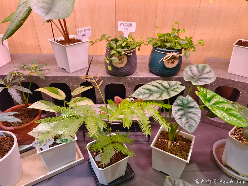 【森驛pasta】義大利麵.燉飯.焗烤專賣店與寵物友善餐廳，客製化美味與綠意空間 @紫色微笑 Ben Jean 饗樂生活