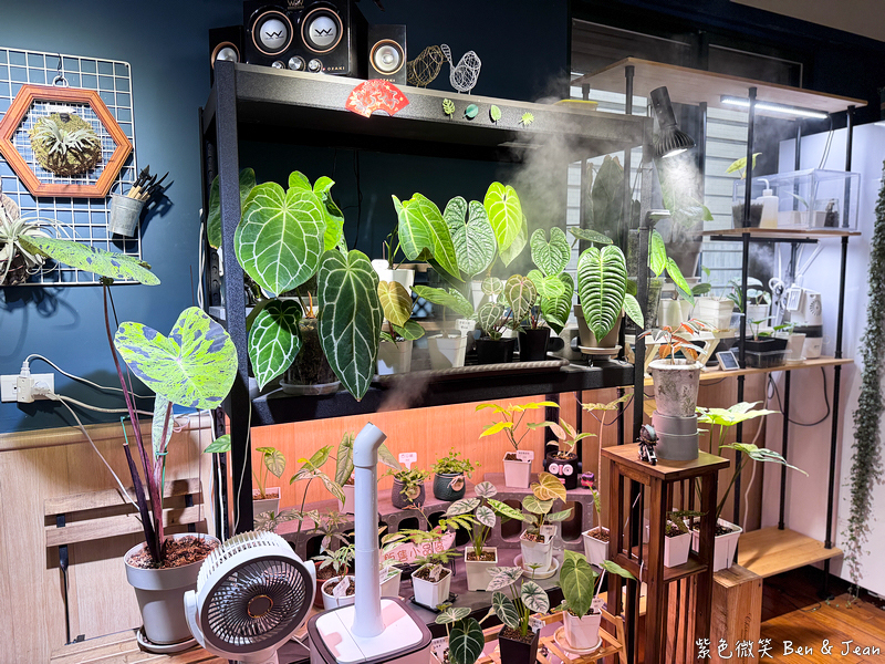 【森驛pasta】義大利麵.燉飯.焗烤專賣店與寵物友善餐廳，客製化美味與綠意空間 @紫色微笑 Ben Jean 饗樂生活