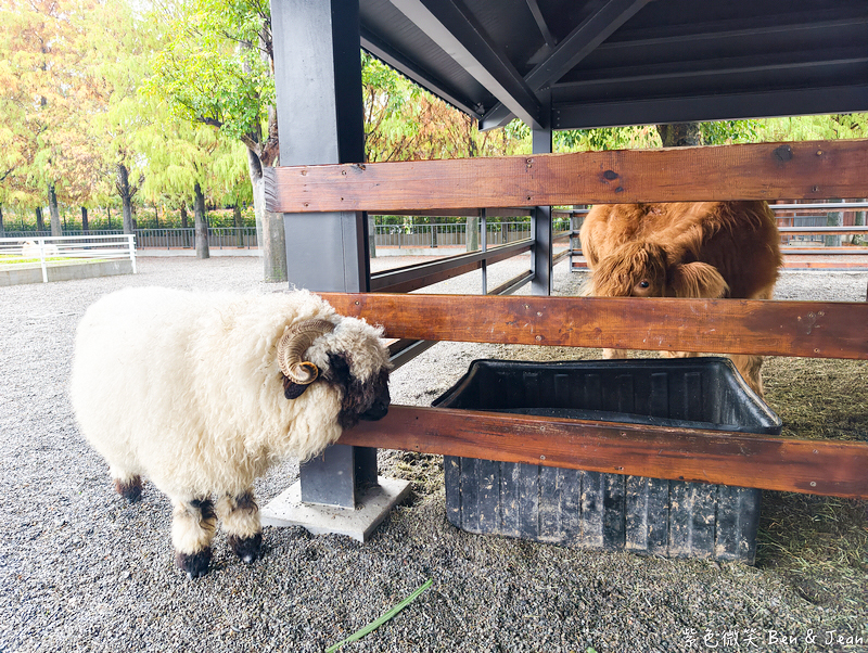 【樹懶餐廳萌寵農場 】超萌室內動物區 x 鵜鶘餵食秀 x精采DIY，晴雨皆宜的親子夢幻樂園part 2 @紫色微笑 Ben Jean 饗樂生活