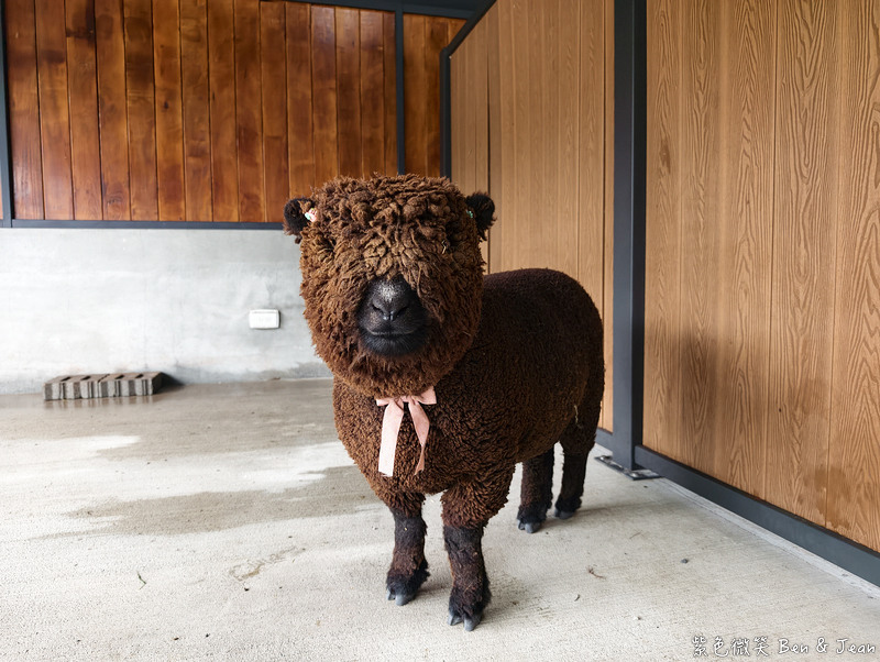 【樹懶餐廳萌寵農場 】超萌室內動物區 x 鵜鶘餵食秀 x精采DIY，晴雨皆宜的親子夢幻樂園part 2 @紫色微笑 Ben Jean 饗樂生活