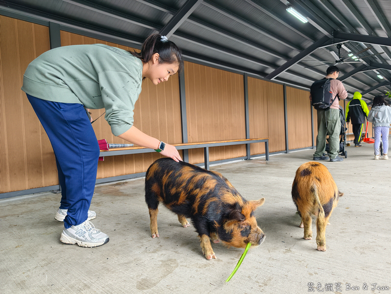 【樹懶餐廳萌寵農場 】超萌室內動物區 x 鵜鶘餵食秀 x精采DIY，晴雨皆宜的親子夢幻樂園part 2 @紫色微笑 Ben Jean 饗樂生活