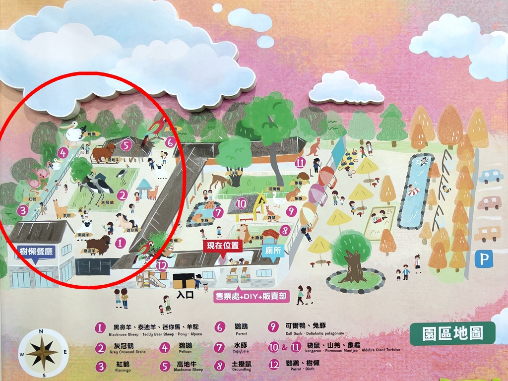 【樹懶餐廳萌寵農場 】超萌室內動物區 x 鵜鶘餵食秀 x精采DIY，晴雨皆宜的親子夢幻樂園part 2 @紫色微笑 Ben Jean 饗樂生活