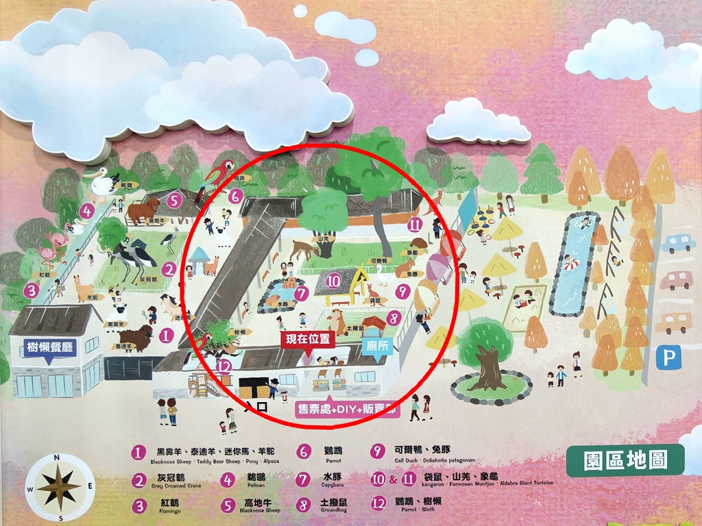 【樹懶餐廳萌寵農場 】超萌室內動物區 x 鵜鶘餵食秀 x精采DIY，晴雨皆宜的親子夢幻樂園part 2 @紫色微笑 Ben Jean 饗樂生活