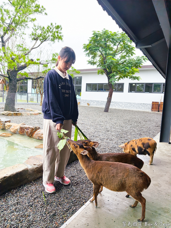 【樹懶餐廳萌寵農場 】超萌室內動物區 x 鵜鶘餵食秀 x精采DIY，晴雨皆宜的親子夢幻樂園part 2 @紫色微笑 Ben Jean 饗樂生活