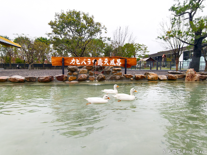 【樹懶餐廳萌寵農場 】超萌室內動物區 x 鵜鶘餵食秀 x精采DIY，晴雨皆宜的親子夢幻樂園part 2 @紫色微笑 Ben Jean 饗樂生活