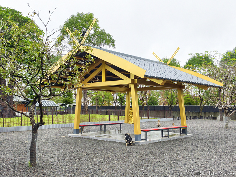 【樹懶餐廳萌寵農場 】超萌室內動物區 x 鵜鶘餵食秀 x精采DIY，晴雨皆宜的親子夢幻樂園part 2 @紫色微笑 Ben Jean 饗樂生活