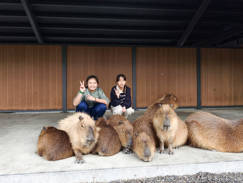 [美食]宜蘭市+懷念米粉羹 @紫色微笑 Ben Jean 饗樂生活