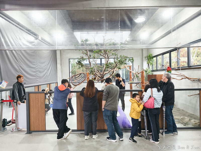 【樹懶餐廳萌寵農場 】超萌室內動物區 x 鵜鶘餵食秀 x精采DIY，晴雨皆宜的親子夢幻樂園part 2 @紫色微笑 Ben Jean 饗樂生活