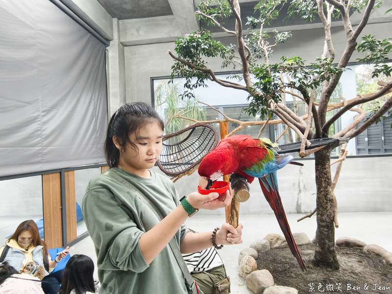 【樹懶餐廳萌寵農場 】超萌室內動物區 x 鵜鶘餵食秀 x精采DIY，晴雨皆宜的親子夢幻樂園part 2 @紫色微笑 Ben Jean 饗樂生活