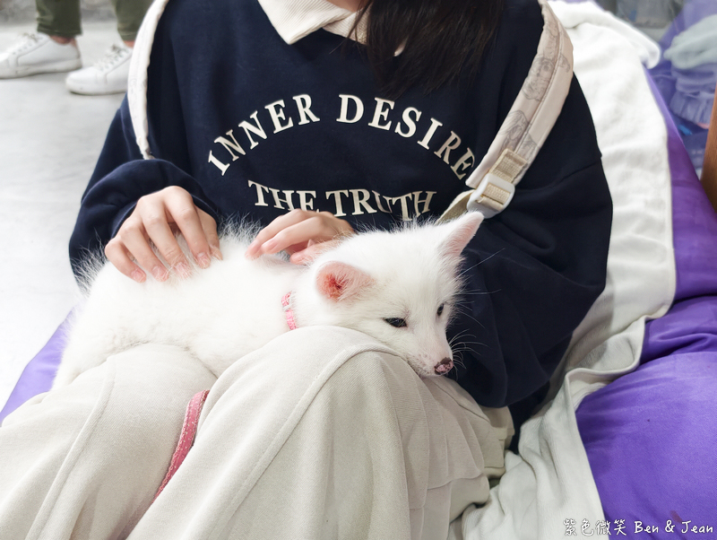 【樹懶餐廳萌寵農場 】超萌室內動物區 x 鵜鶘餵食秀 x精采DIY，晴雨皆宜的親子夢幻樂園part 2 @紫色微笑 Ben Jean 饗樂生活