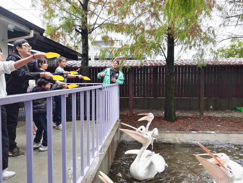 【樹懶餐廳萌寵農場 】超萌室內動物區 x 鵜鶘餵食秀 x精采DIY，晴雨皆宜的親子夢幻樂園part 2 @紫色微笑 Ben Jean 饗樂生活