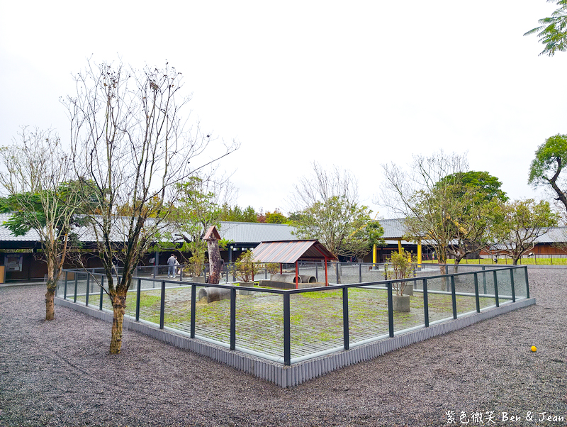 【樹懶餐廳萌寵農場 】超萌室內動物區 x 鵜鶘餵食秀 x精采DIY，晴雨皆宜的親子夢幻樂園part 2 @紫色微笑 Ben Jean 饗樂生活