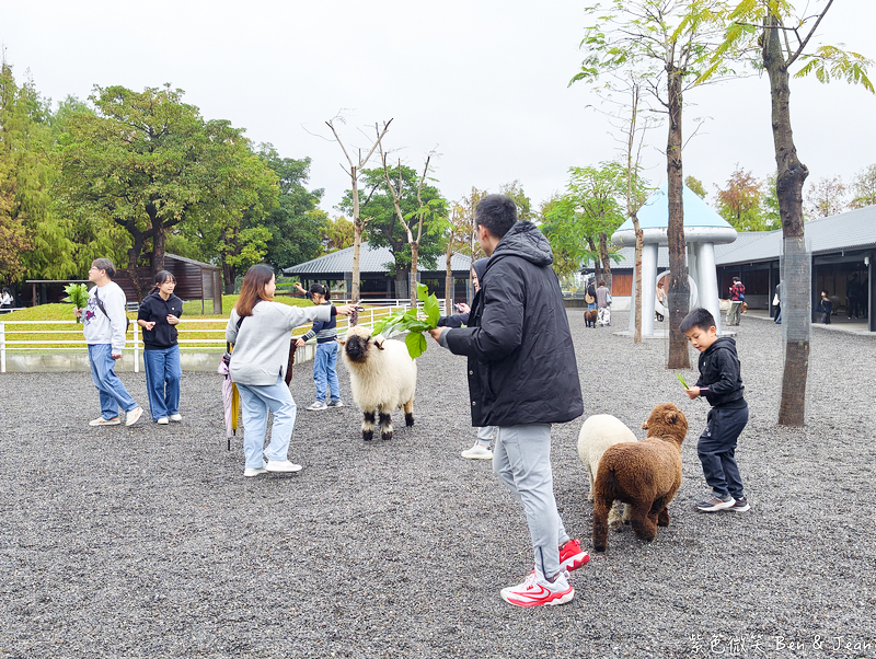 【樹懶餐廳萌寵農場 】超萌室內動物區 x 鵜鶘餵食秀 x精采DIY，晴雨皆宜的親子夢幻樂園part 2 @紫色微笑 Ben Jean 饗樂生活