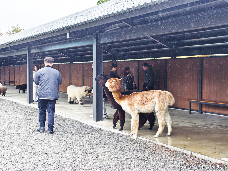 【樹懶餐廳萌寵農場 】超萌室內動物區 x 鵜鶘餵食秀 x精采DIY，晴雨皆宜的親子夢幻樂園part 2 @紫色微笑 Ben Jean 饗樂生活