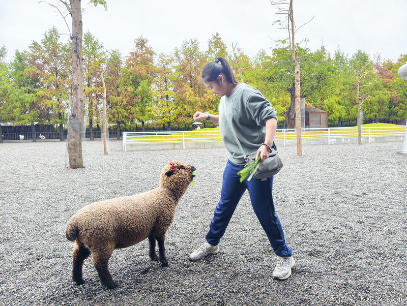 【樹懶餐廳萌寵農場 】超萌室內動物區 x 鵜鶘餵食秀 x精采DIY，晴雨皆宜的親子夢幻樂園part 2 @紫色微笑 Ben Jean 饗樂生活