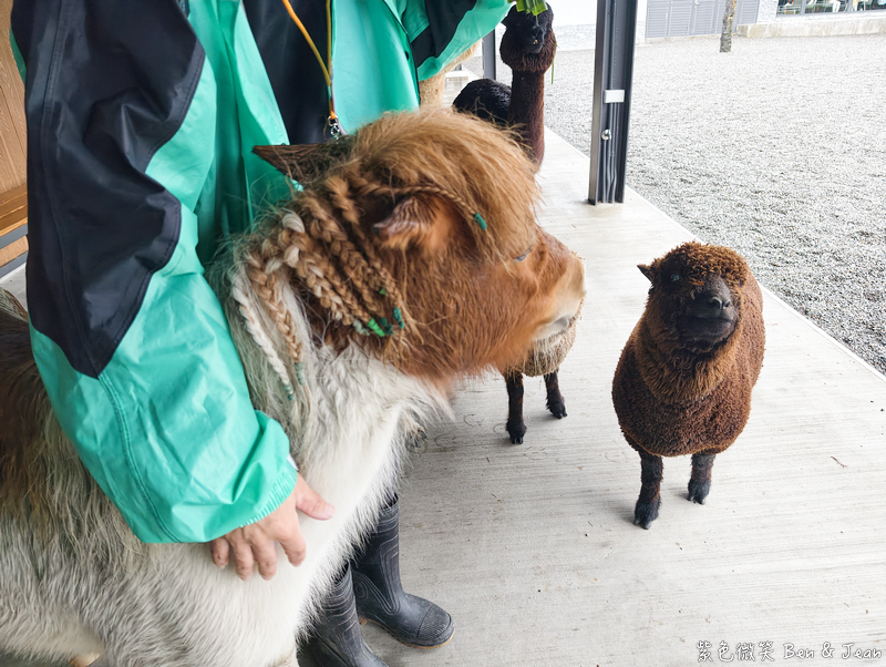 【樹懶餐廳萌寵農場 】超萌室內動物區 x 鵜鶘餵食秀 x精采DIY，晴雨皆宜的親子夢幻樂園part 2 @紫色微笑 Ben Jean 饗樂生活