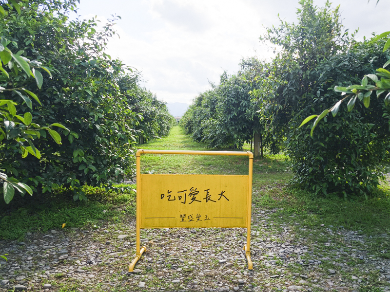 【豐盛愛玉】全台最大愛玉園區!免費試吃天然愛玉、DIY體驗,太平山北橫順遊必訪 @紫色微笑 Ben Jean 饗樂生活 【豐盛愛玉】全台最大愛玉園區!免費試吃天然愛玉、DIY體驗,太平山北橫順遊必訪 @紫色微笑 Ben Jean 饗樂生活