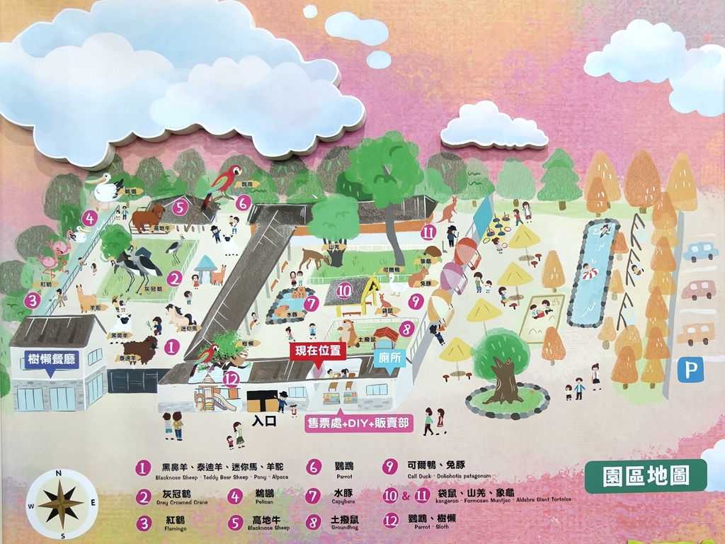 【樹懶餐廳萌寵農場 】超萌室內動物區 x 鵜鶘餵食秀 x精采DIY，晴雨皆宜的親子夢幻樂園part 2 @紫色微笑 Ben Jean 饗樂生活