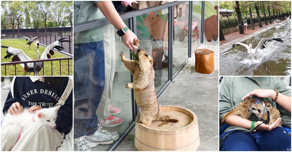 [旅遊]青年旅遊卡 @紫色微笑 Ben Jean 饗樂生活