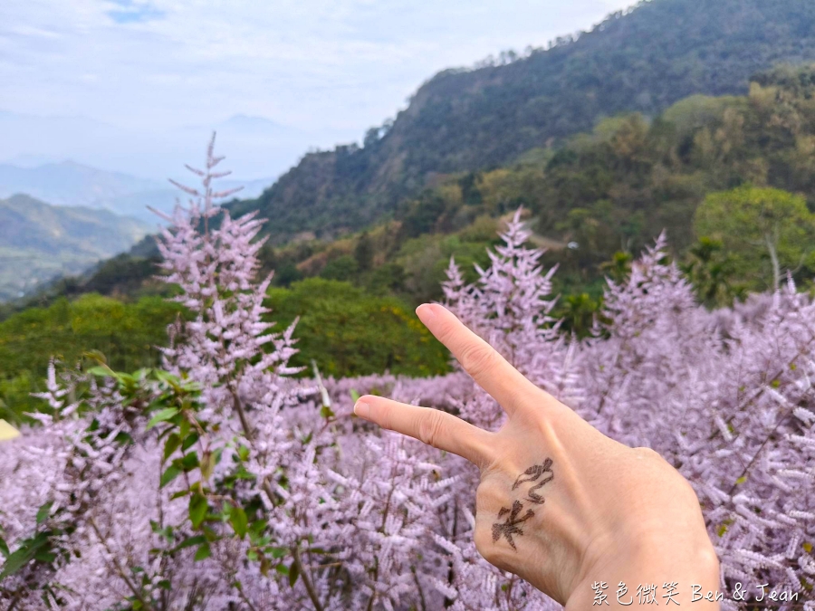 【2026九尖茶廠麝香木】南投國姓隱藏版花海!漫步粉紫雲海般夢境,走進高山浪漫告白季 @紫色微笑 Ben Jean 饗樂生活 【2026九尖茶廠麝香木】南投國姓隱藏版花海!漫步粉紫雲海般夢境,走進高山浪漫告白季 @紫色微笑 Ben Jean 饗樂生活