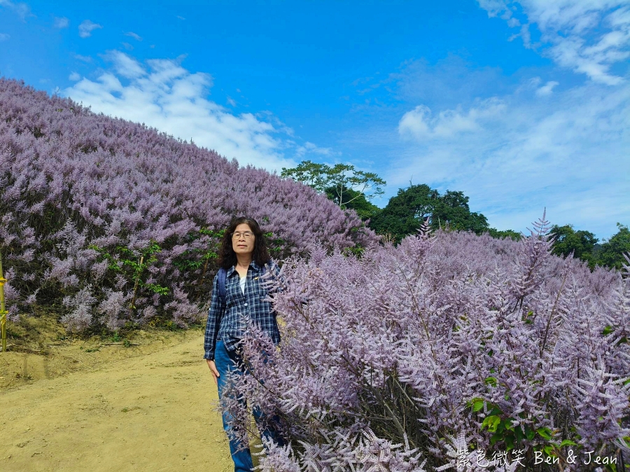 【2026九尖茶廠麝香木】南投國姓隱藏版花海!漫步粉紫雲海般夢境,走進高山浪漫告白季 @紫色微笑 Ben Jean 饗樂生活 【2026九尖茶廠麝香木】南投國姓隱藏版花海!漫步粉紫雲海般夢境,走進高山浪漫告白季 @紫色微笑 Ben Jean 饗樂生活
