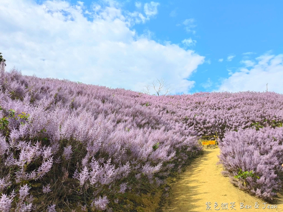 ▋台北餐廳▋西華飯店秋蟹料理~秋蟹吃到飽、口味多變化 @紫色微笑 Ben Jean 饗樂生活