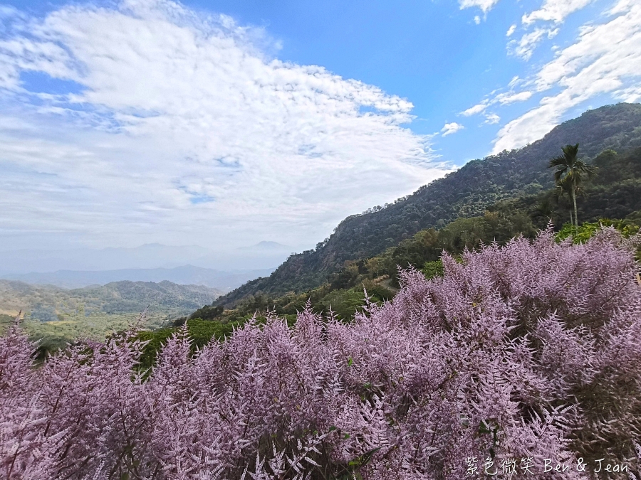 【2026九尖茶廠麝香木】南投國姓隱藏版花海!漫步粉紫雲海般夢境,走進高山浪漫告白季 @紫色微笑 Ben Jean 饗樂生活 【2026九尖茶廠麝香木】南投國姓隱藏版花海!漫步粉紫雲海般夢境,走進高山浪漫告白季 @紫色微笑 Ben Jean 饗樂生活