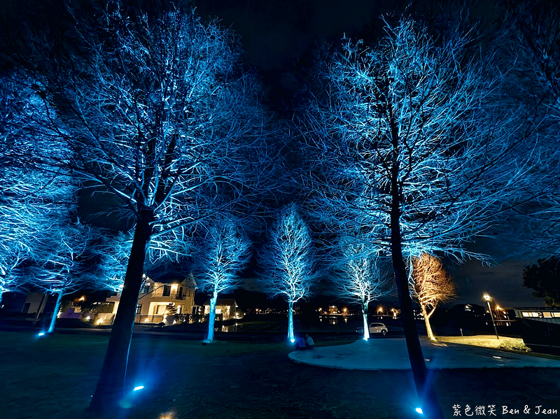 【安農溪落羽松】2026落羽松秘境夜晚點燈華麗，震撼燈光秀登場! @紫色微笑 Ben Jean 饗樂生活