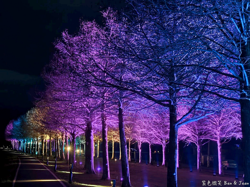 【安農溪落羽松】2026落羽松秘境夜晚點燈華麗，震撼燈光秀登場! @紫色微笑 Ben Jean 饗樂生活