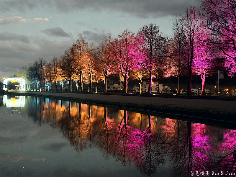 【安農溪落羽松】2026落羽松秘境夜晚點燈華麗，震撼燈光秀登場! @紫色微笑 Ben Jean 饗樂生活