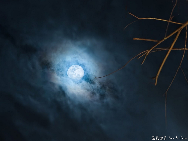 【安農溪落羽松】2026落羽松秘境夜晚點燈華麗，震撼燈光秀登場! @紫色微笑 Ben Jean 饗樂生活