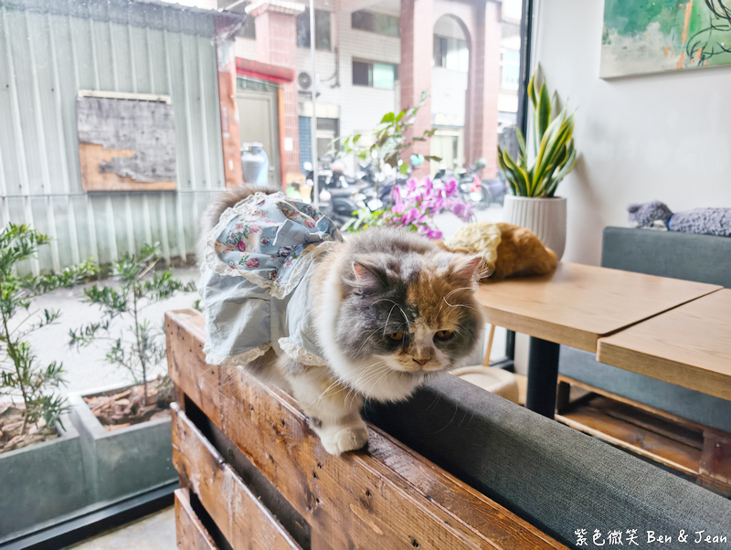 【2026宜蘭大學美食】萬記商行宜蘭路口店：可愛貓咪陪你用餐！在地人私藏早午餐及甜點，餐點咖啡更驚艷！ @紫色微笑 Ben Jean 饗樂生活