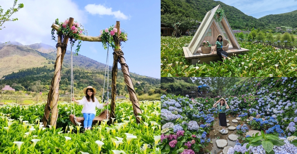 【名陽匍休閒農莊】繡球花海、海芋田、夢幻迷你奧斯汀打卡熱點 @紫色微笑 Ben Jean 饗樂生活