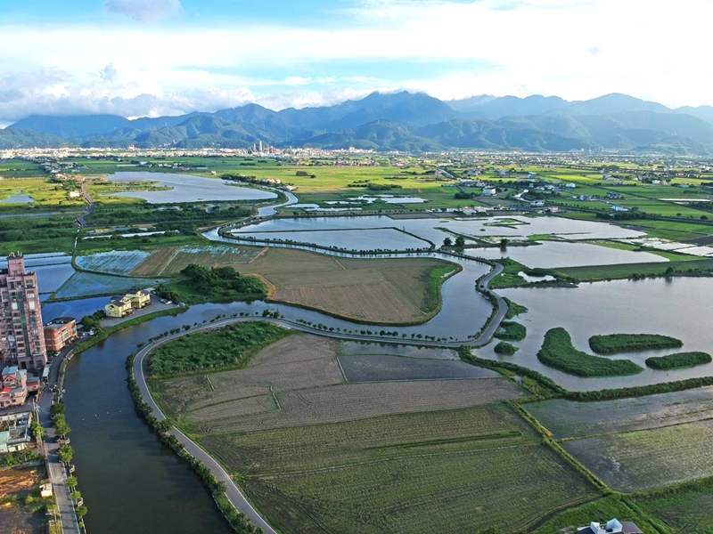 【穗在宜蘭夏夜花火】2026宜蘭限定！6、7月限定夜賞穗花棋盤腳，體驗獨特夏日浪漫，點燃夏日浪漫煙火秀 @紫色微笑 Ben Jean 饗樂生活
