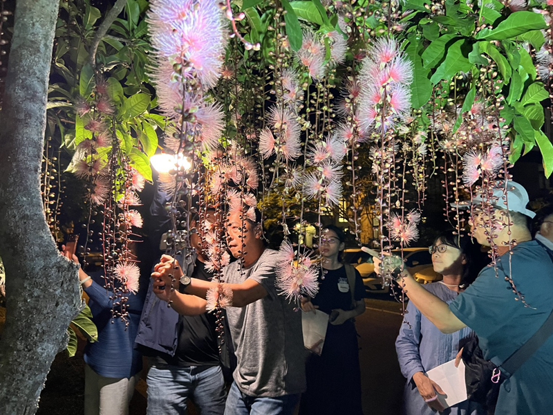 【穗在宜蘭夏夜花火】2026宜蘭限定！6、7月限定夜賞穗花棋盤腳，體驗獨特夏日浪漫，點燃夏日浪漫煙火秀 @紫色微笑 Ben Jean 饗樂生活