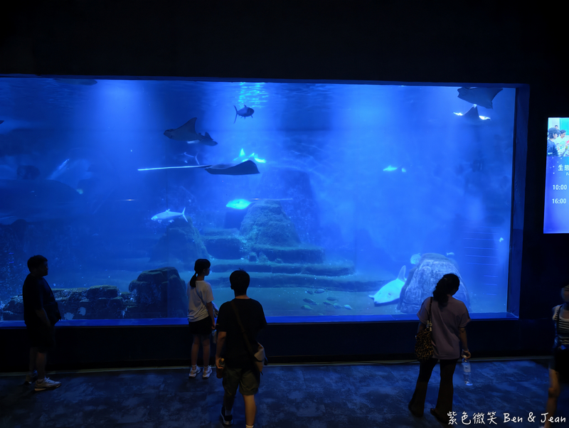 【遠雄悅來大飯店】「山海狂饗曲」專案，開啟山海慢旅行，收藏最療癒的度假時光(含遠雄海洋公園門票) @紫色微笑 Ben Jean 饗樂生活