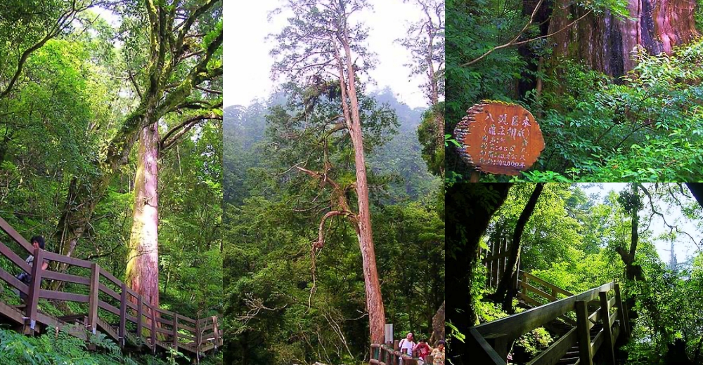 桃園景點推薦》2026桃園一日遊!Xpark、大溪老街、親子公園、室內觀光工廠玩起來 @紫色微笑 Ben Jean 饗樂生活