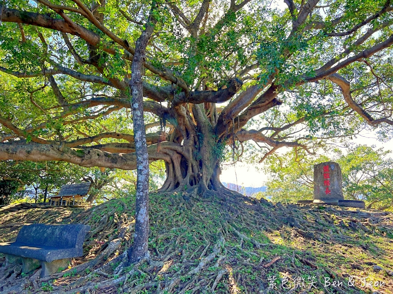 砲台山風景區》巨大老榕，鳥瞰三澳風景(蘇澳、北方澳、南方澳)、扇形火車庫 ，軍商漁港三合一的美景盡收眼底 @紫色微笑 Ben&amp;Jean 饗樂生活