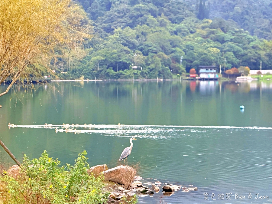 【Herbelle Tea 湖畔茶屋】宜蘭礁溪龍潭湖畔絕美湖景咖啡廳,坐擁龍潭湖畔第一排絕美湖景,寵物友善、高CP值打卡熱點 @紫色微笑 Ben Jean 饗樂生活 【Herbelle Tea 湖畔茶屋】宜蘭礁溪龍潭湖畔絕美湖景咖啡廳,坐擁龍潭湖畔第一排絕美湖景,寵物友善、高CP值打卡熱點 @紫色微笑 Ben Jean 饗樂生活