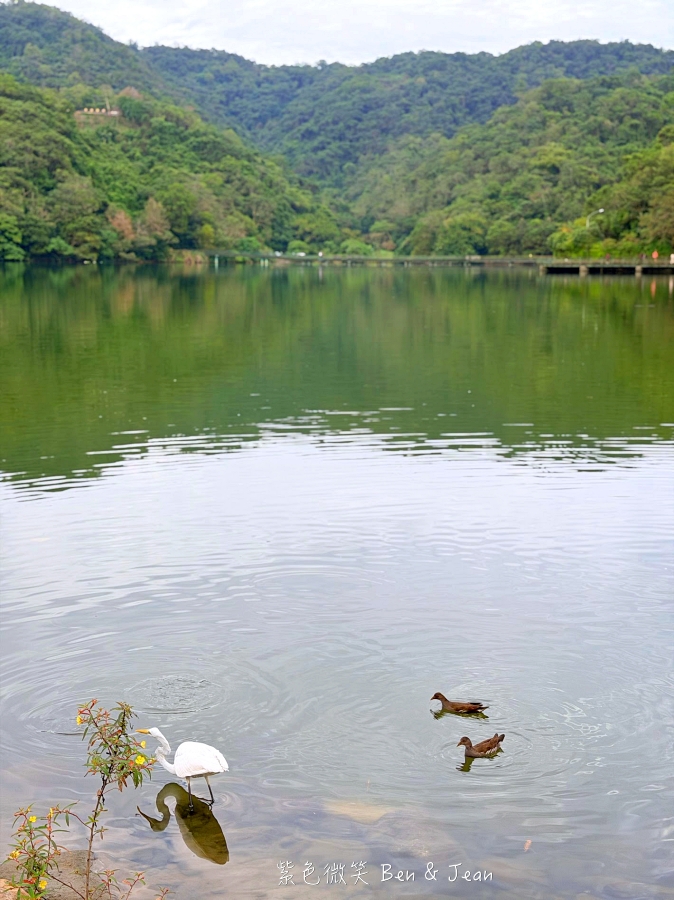 【Herbelle Tea 湖畔茶屋】宜蘭礁溪龍潭湖畔絕美湖景咖啡廳，坐擁龍潭湖畔第一排絕美湖景，寵物友善、高CP值打卡熱點 @紫色微笑 Ben Jean 饗樂生活