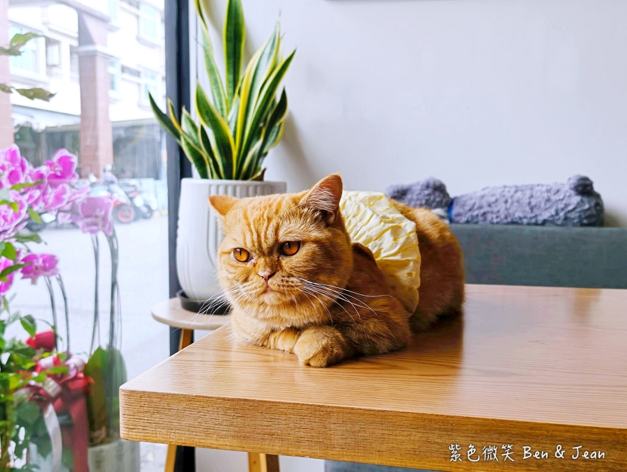 【2026宜蘭大學美食】萬記商行宜蘭路口店：可愛貓咪陪你用餐！在地人私藏早午餐及甜點，餐點咖啡更驚艷！ @紫色微笑 Ben Jean 饗樂生活