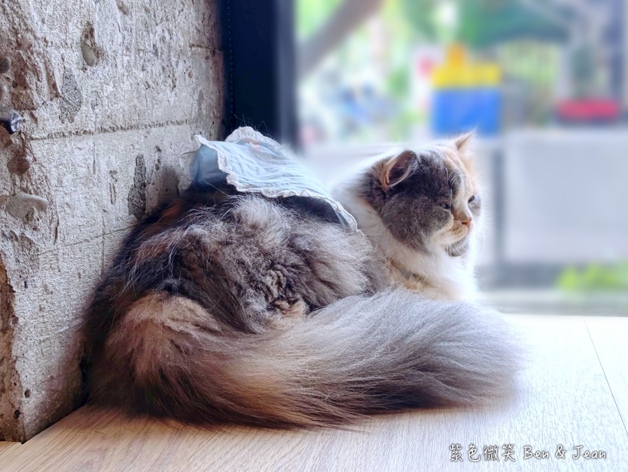 【2026宜蘭大學美食】萬記商行宜蘭路口店：可愛貓咪陪你用餐！在地人私藏早午餐及甜點，餐點咖啡更驚艷！ @紫色微笑 Ben Jean 饗樂生活