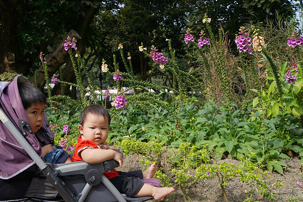 台南一日遊》南元花園休閒農場 全國最大植物園 鳥園 花園住宿，是花園也是令人驚喜、玩到瘋掉的親子樂園 門票價位收費分享 @紫色微笑 Ben&amp;Jean 饗樂生活