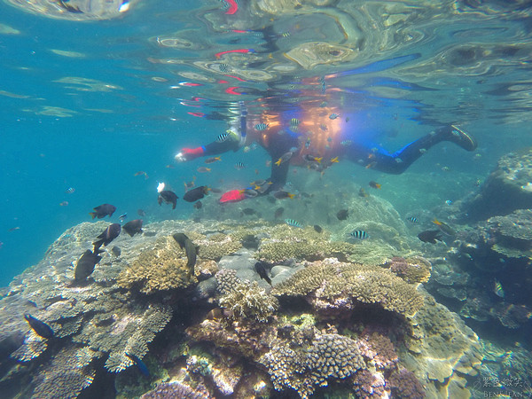宜蘭南方澳》豆腐岬~得天獨厚的美麗珊瑚礁群，輕鬆浮潛就看的到，就連在地人未必得知的生態秘境 @紫色微笑 Ben&amp;Jean 饗樂生活
