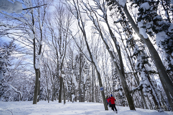 なべくら高原.森の家 (鍋倉高原森之家)雪地行走~穿著雪鞋行走在櫸木森林裏，在雪地森林裏野餐，難得的生活體驗 @紫色微笑 Ben&amp;Jean 饗樂生活