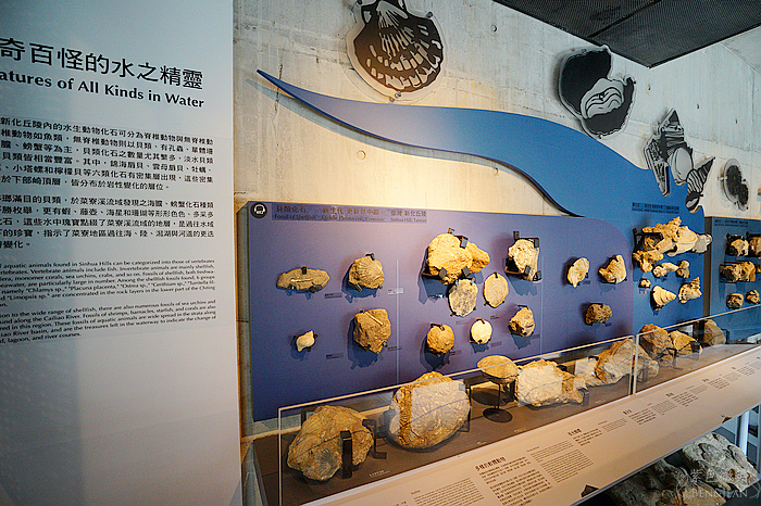 台南熱門親子景點》左鎮化石園區 全台唯一以化石為主題的博物館~台版侏羅紀公園 @紫色微笑 Ben&amp;Jean 饗樂生活