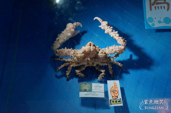 頭城景點推薦》北關螃蟹博物館-令人驚豔的螃蟹王國 @紫色微笑 Ben&amp;Jean 饗樂生活